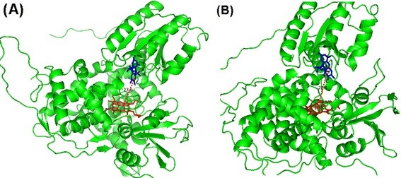 Figure 5