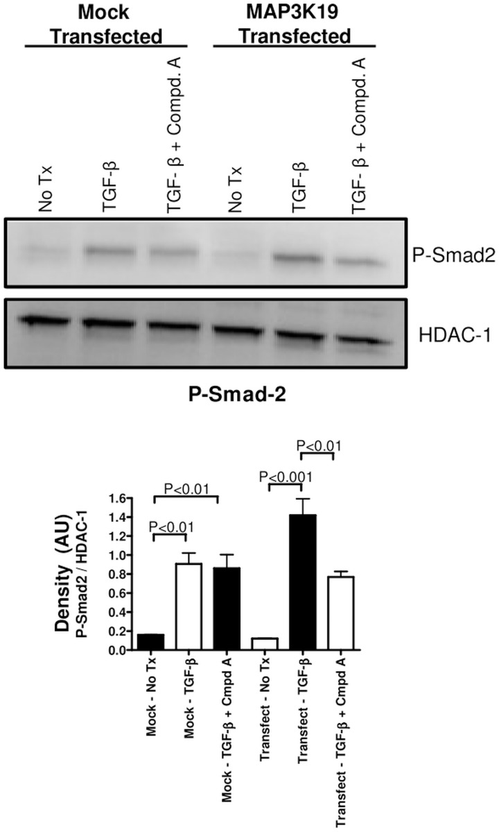 Fig 11