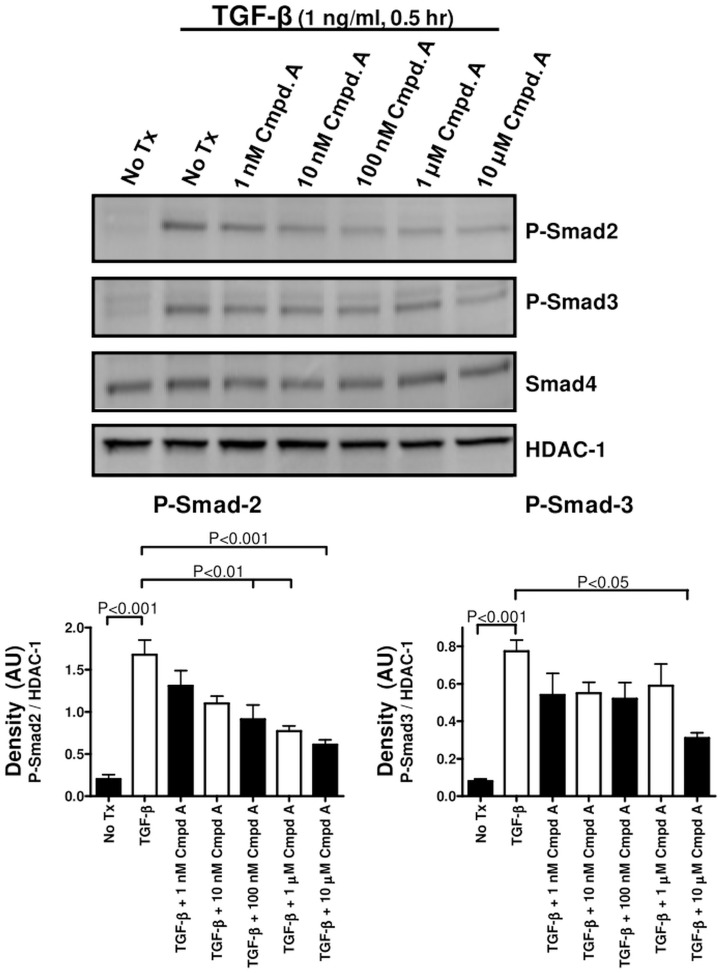 Fig 9