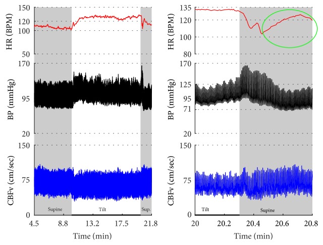 Figure 15