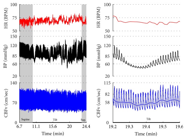 Figure 19