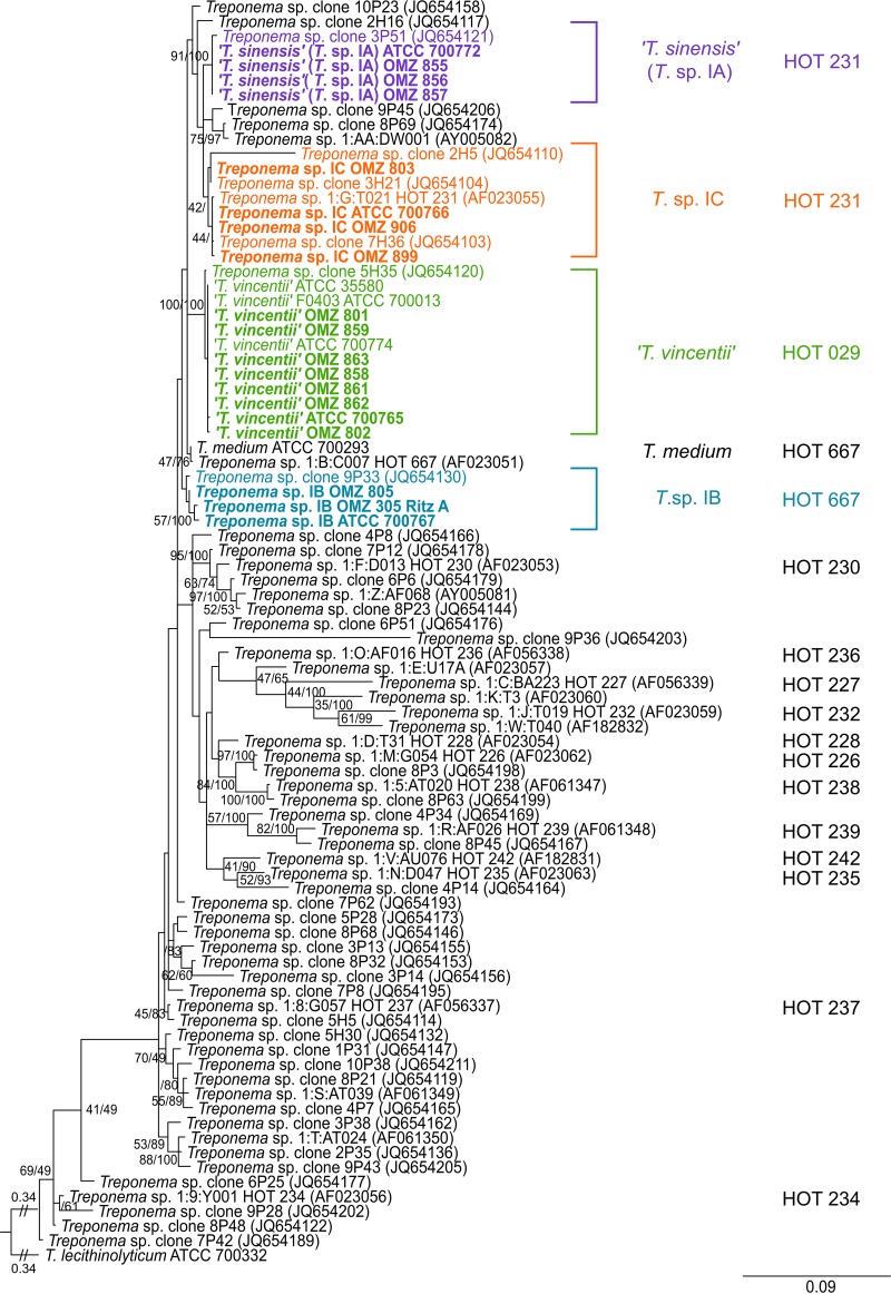 FIG 2