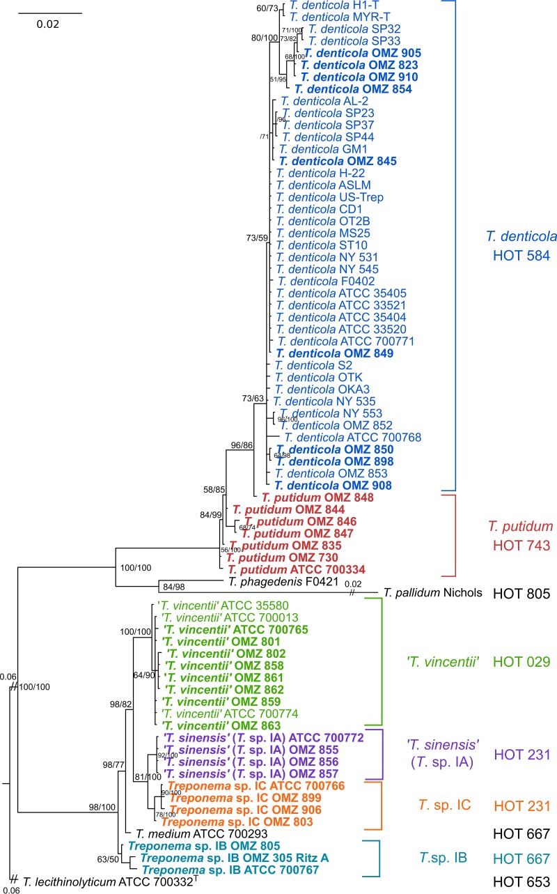 FIG 1