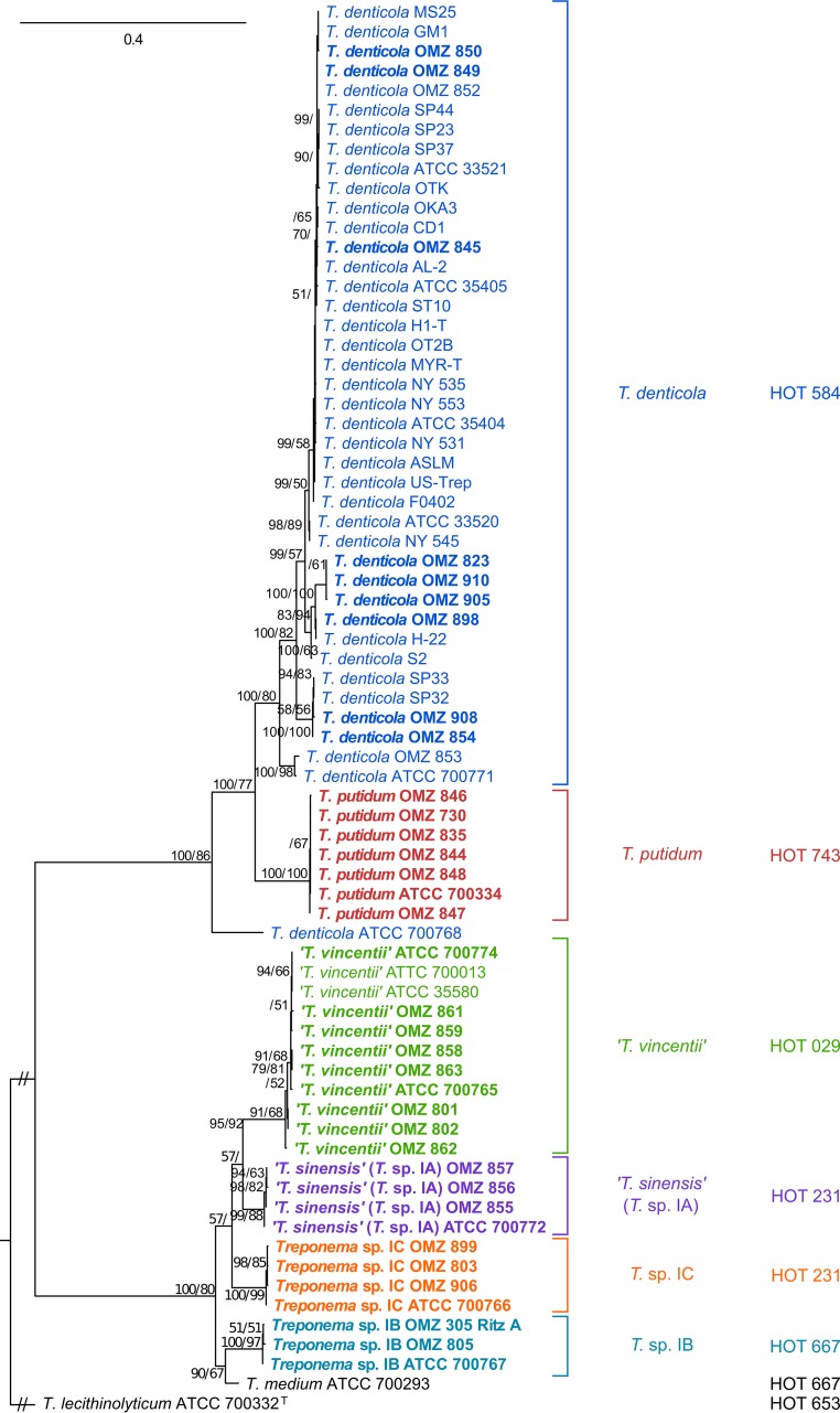 FIG 3