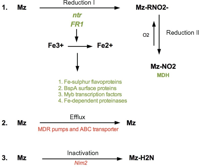 Fig. 7.