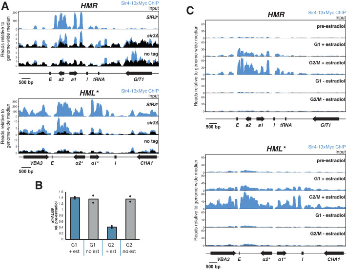 Figure 3—figure supplement 1.