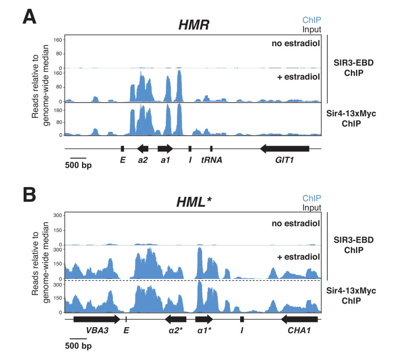 Figure 3—figure supplement 3.