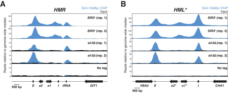 Figure 3—figure supplement 2.