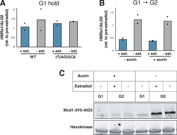 Figure 1—figure supplement 1.