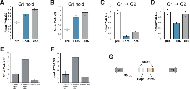 Figure 1—figure supplement 2.