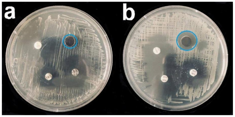 Figure 9