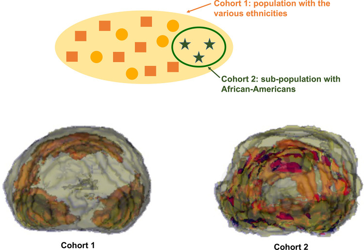 Population maps generated from the prostate MRI dataset of the resection cohort from the University of California, Los Angeles. Top: diagram of the study cohorts. Bottom: population maps of each cohort. Each color indicates the area with a given range of probabilities: blue, 0%–1%; yellow, 1%–6%; red, 6%–8%; and black, 8%–13.6%.