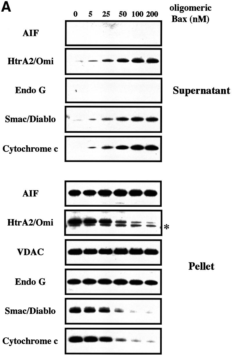 graphic file with name cdg423f1a.jpg