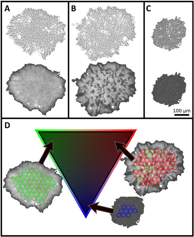 Fig. 3