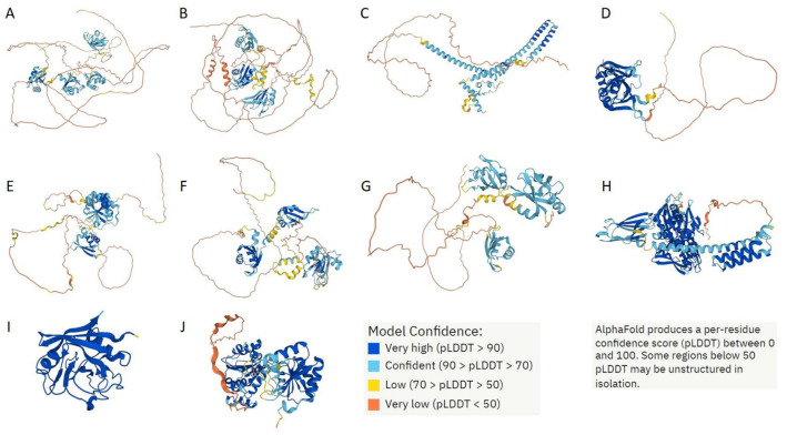 Figure 17