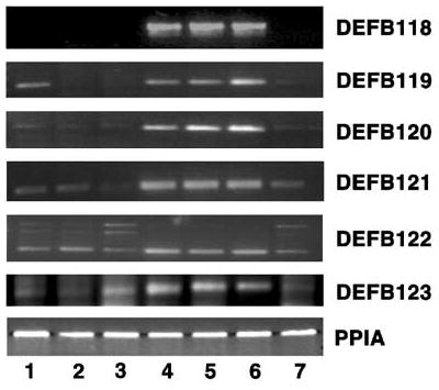 Figure 5