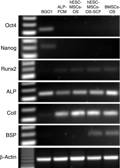 FIG. 5.