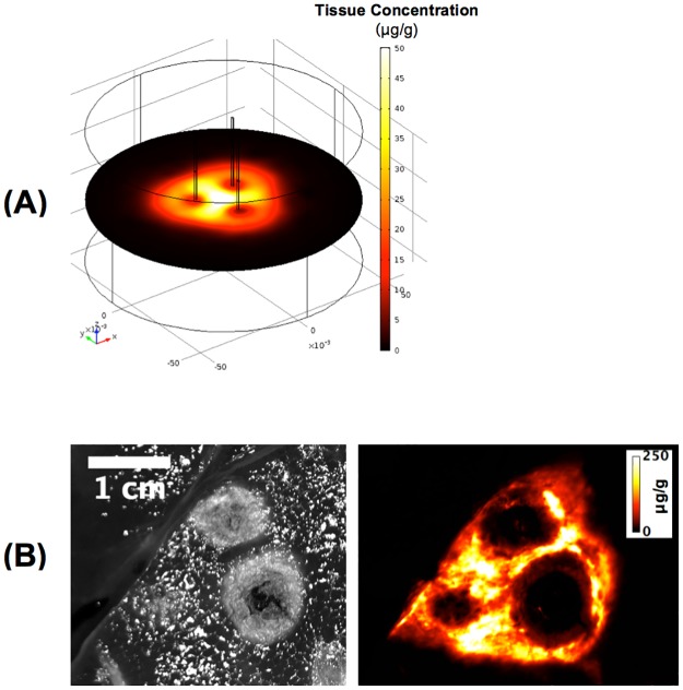 Fig 6