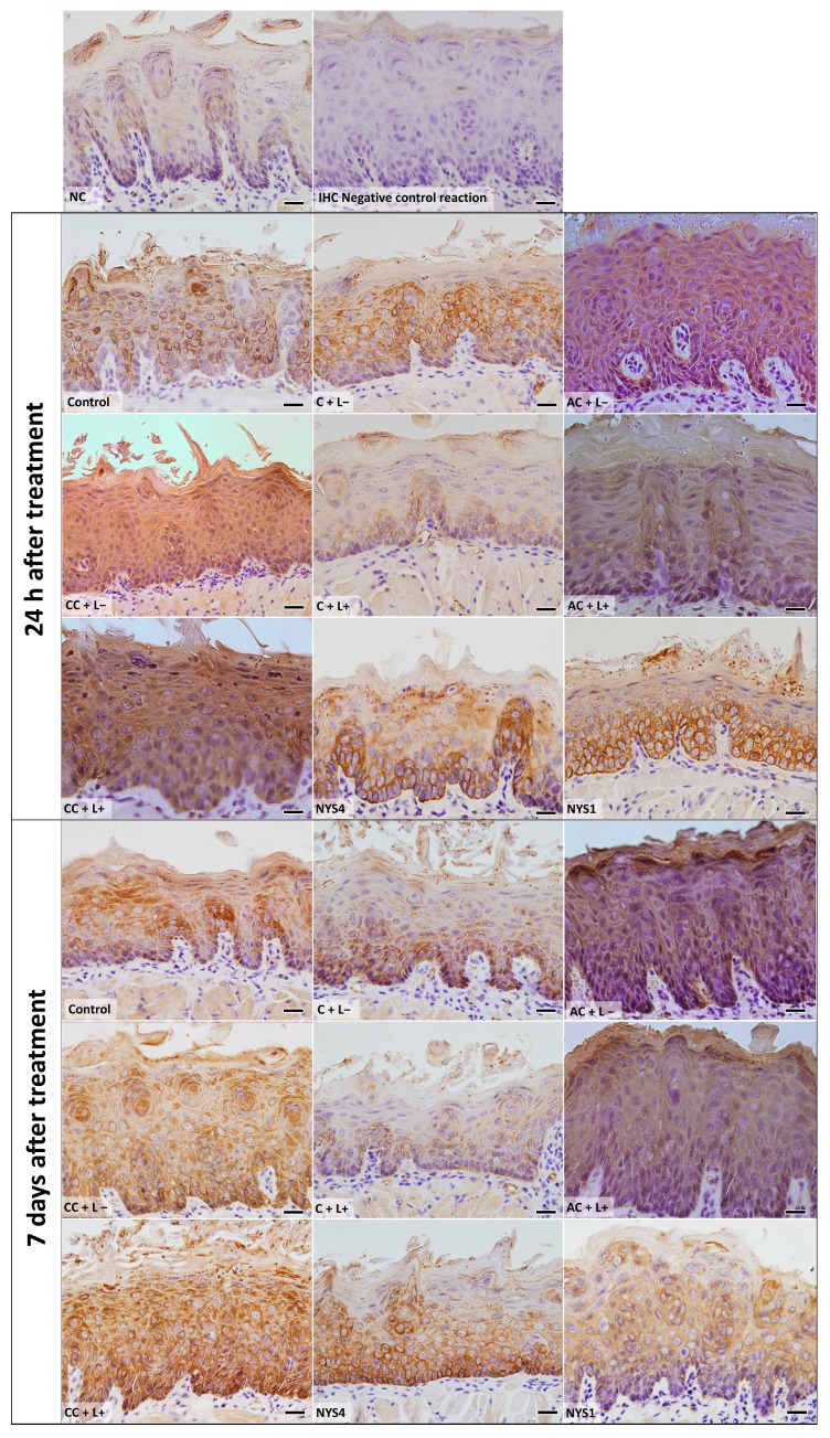 Figure 10