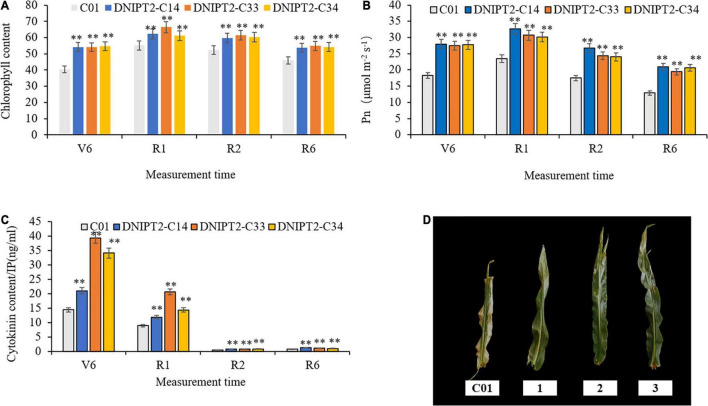 FIGURE 3