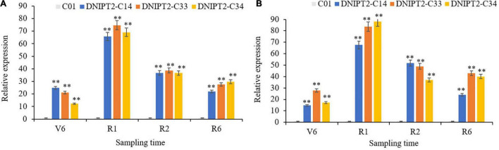 FIGURE 2