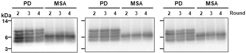 Extended Data Fig. 6 |