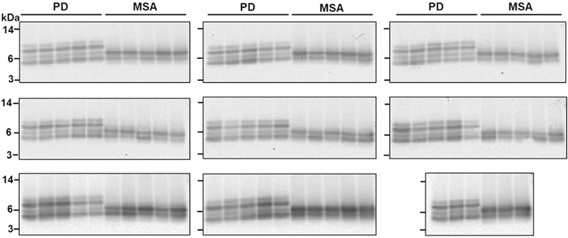 Extended Data Fig. 5 |