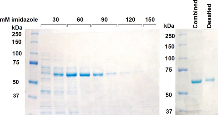 FIGURE 1.