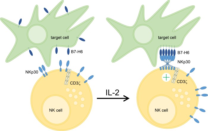 FIGURE 7.