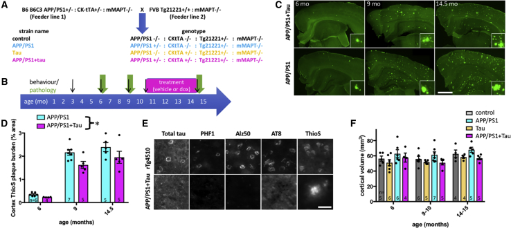 Figure 1