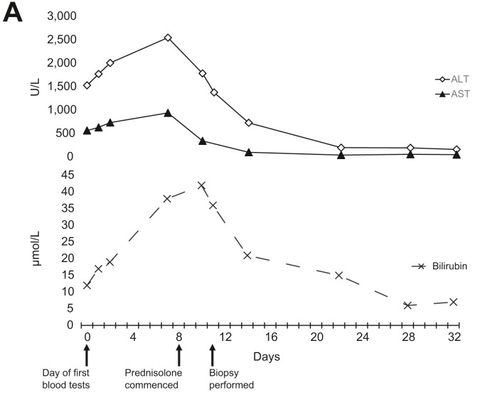 Fig. 1