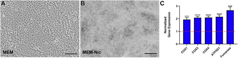 Figure 9