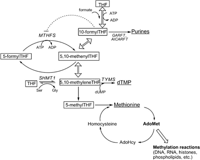 FIGURE 1