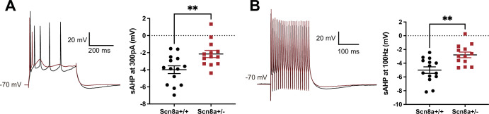 Figure 7—figure supplement 1.