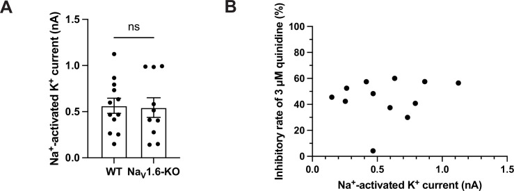 Figure 1—figure supplement 3.