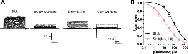 Figure 1—figure supplement 2.