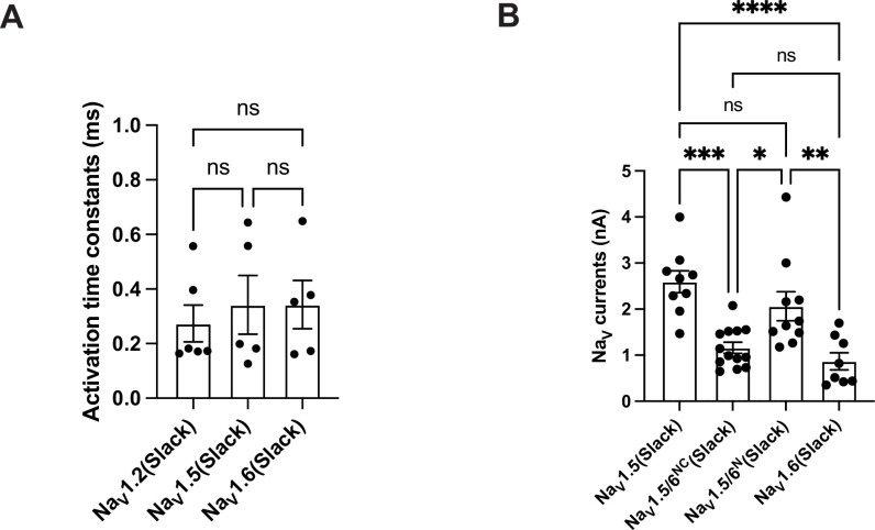 Figure 4—figure supplement 1.