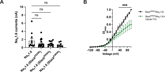 Figure 6—figure supplement 1.