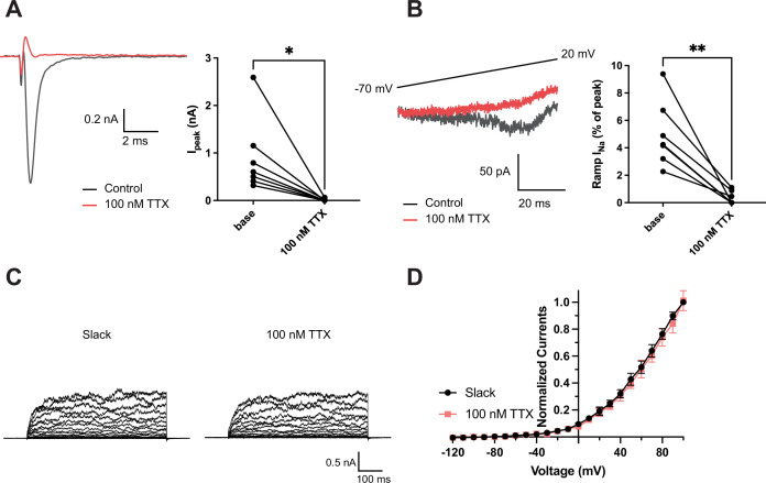 Figure 2—figure supplement 1.