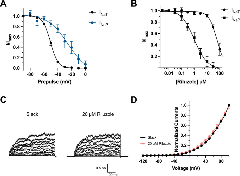 Figure 2—figure supplement 2.