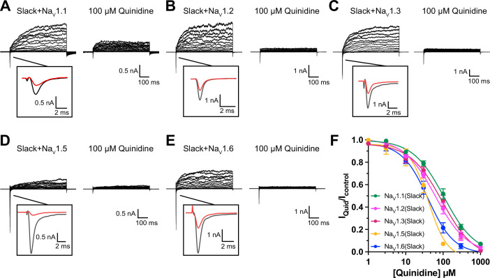 Figure 2—figure supplement 3.