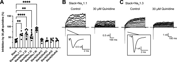 Figure 1—figure supplement 1.