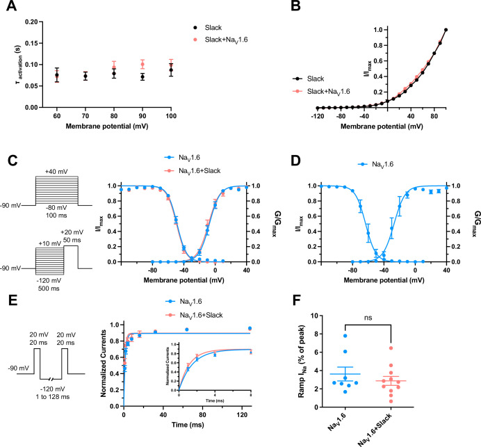 Figure 2—figure supplement 4.