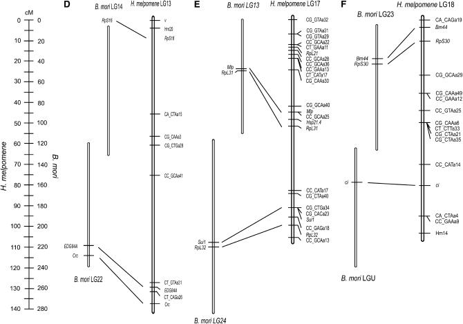 Figure 2.—