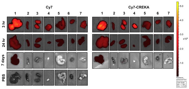 Fig. 7