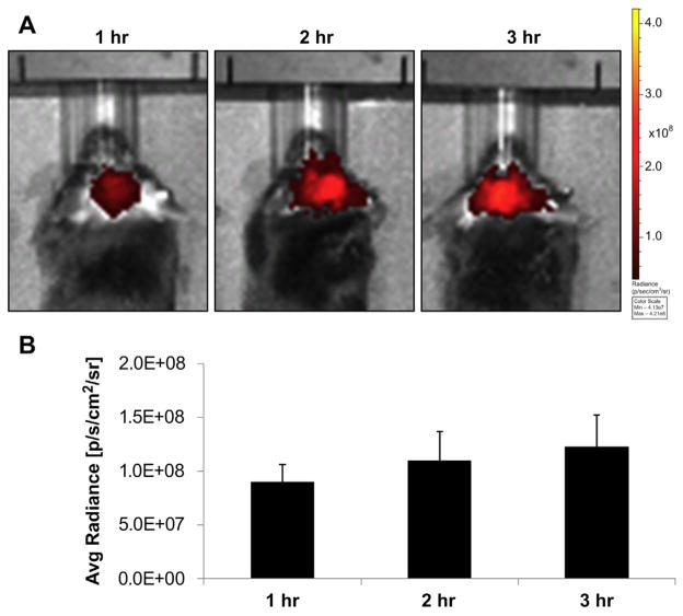 Fig. 4