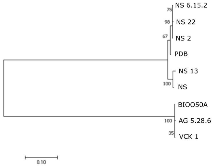 Figure 5