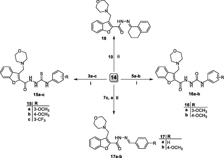 Scheme 4.