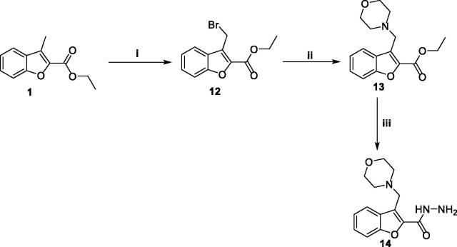 Scheme 3.