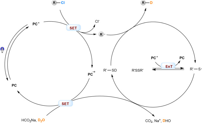 Fig. 8